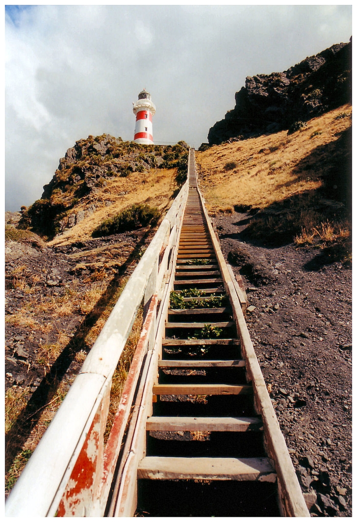 07 - Cap Palliser (5).jpg